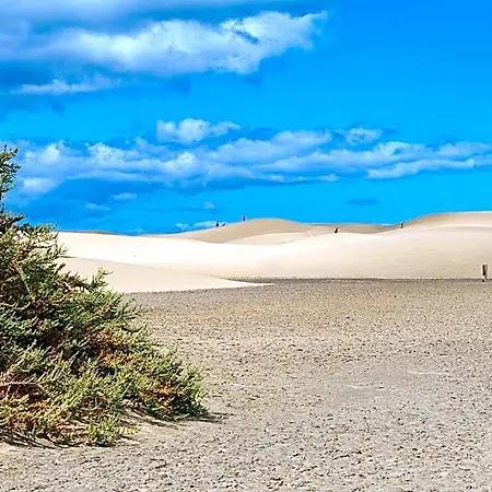 Smartr Maspalomas Corinto 2*